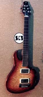Custom 24.75 Scale Travel Guitar 3